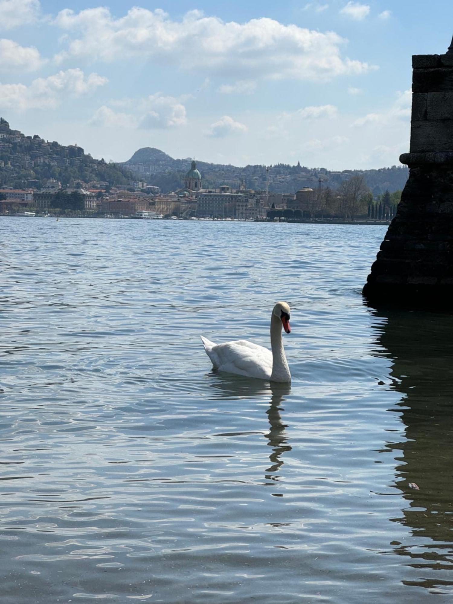 Portatorre Suite, A Charming Apartment In The Heart Of Como, Free Private Parking, Air Conditioning & More! المظهر الخارجي الصورة